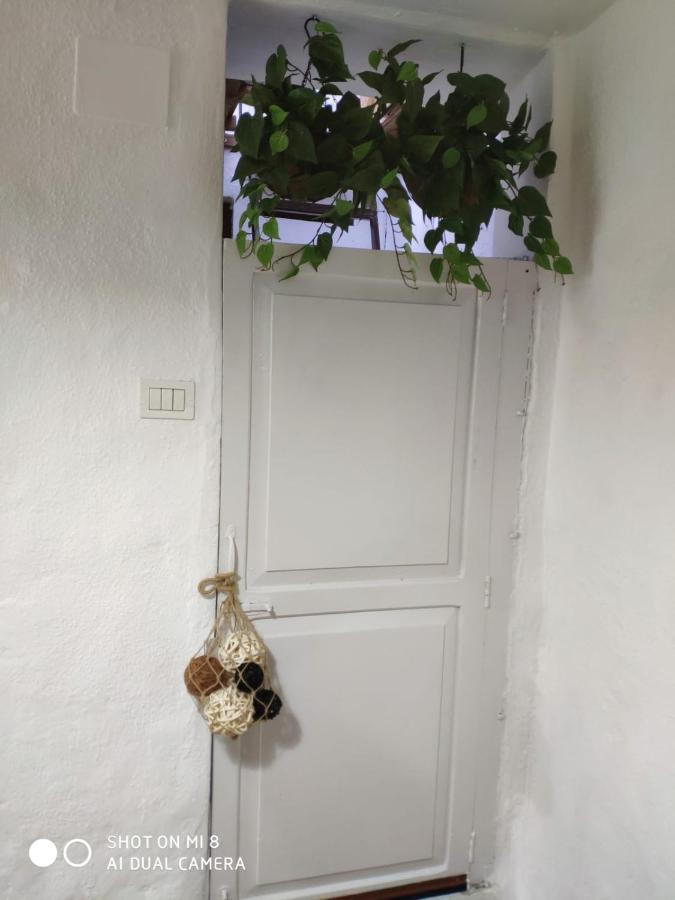 La Casita Calle El Tanque ซานตาครูซเดลาปัลมา ภายนอก รูปภาพ